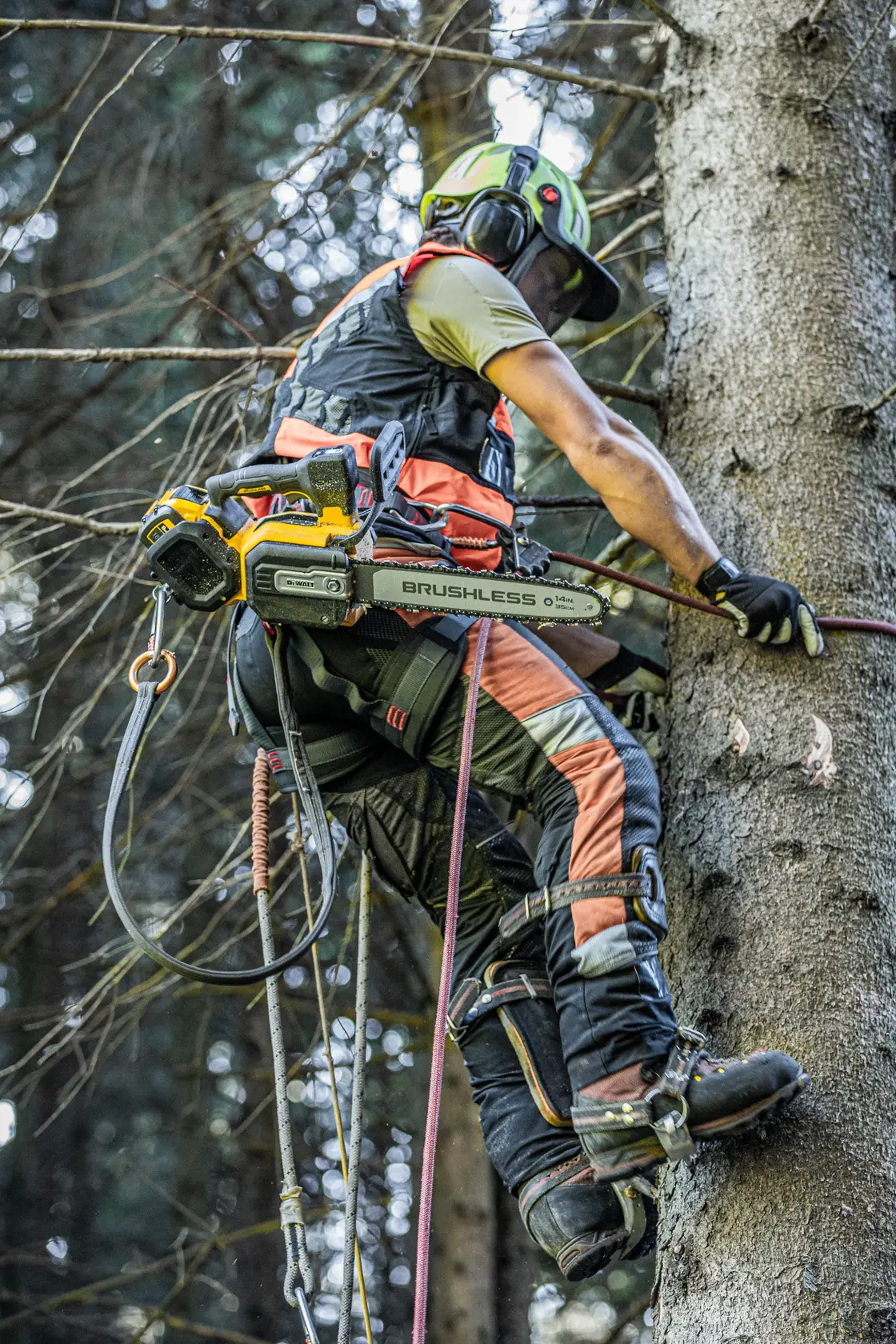 54 Volt Top-Handle-Akku-Kettensäge 35 cm Schwert (bürstenlos), Basisversion, WARNUNG - Diese Kettensäge darf nur von ausgebildeten Baumpflegern verwendet werden