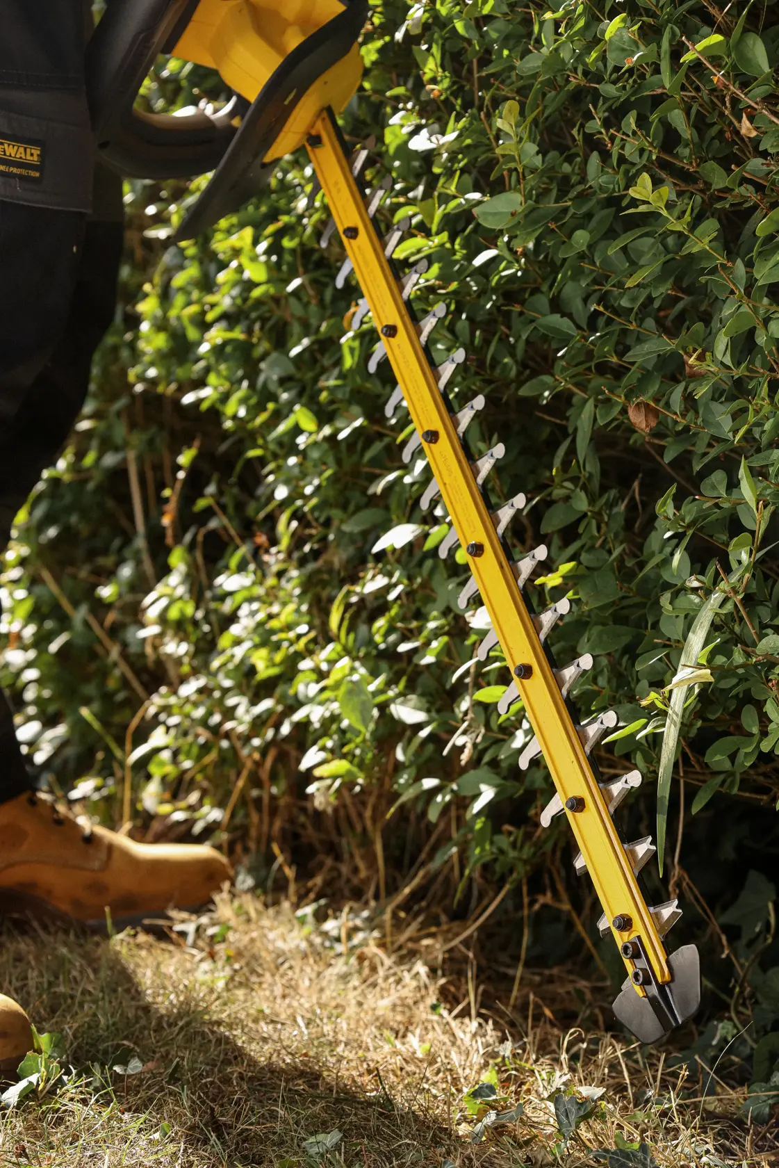 18 Volt Akku-Heckenschere (bürstenlos), 60cm, Basisv.