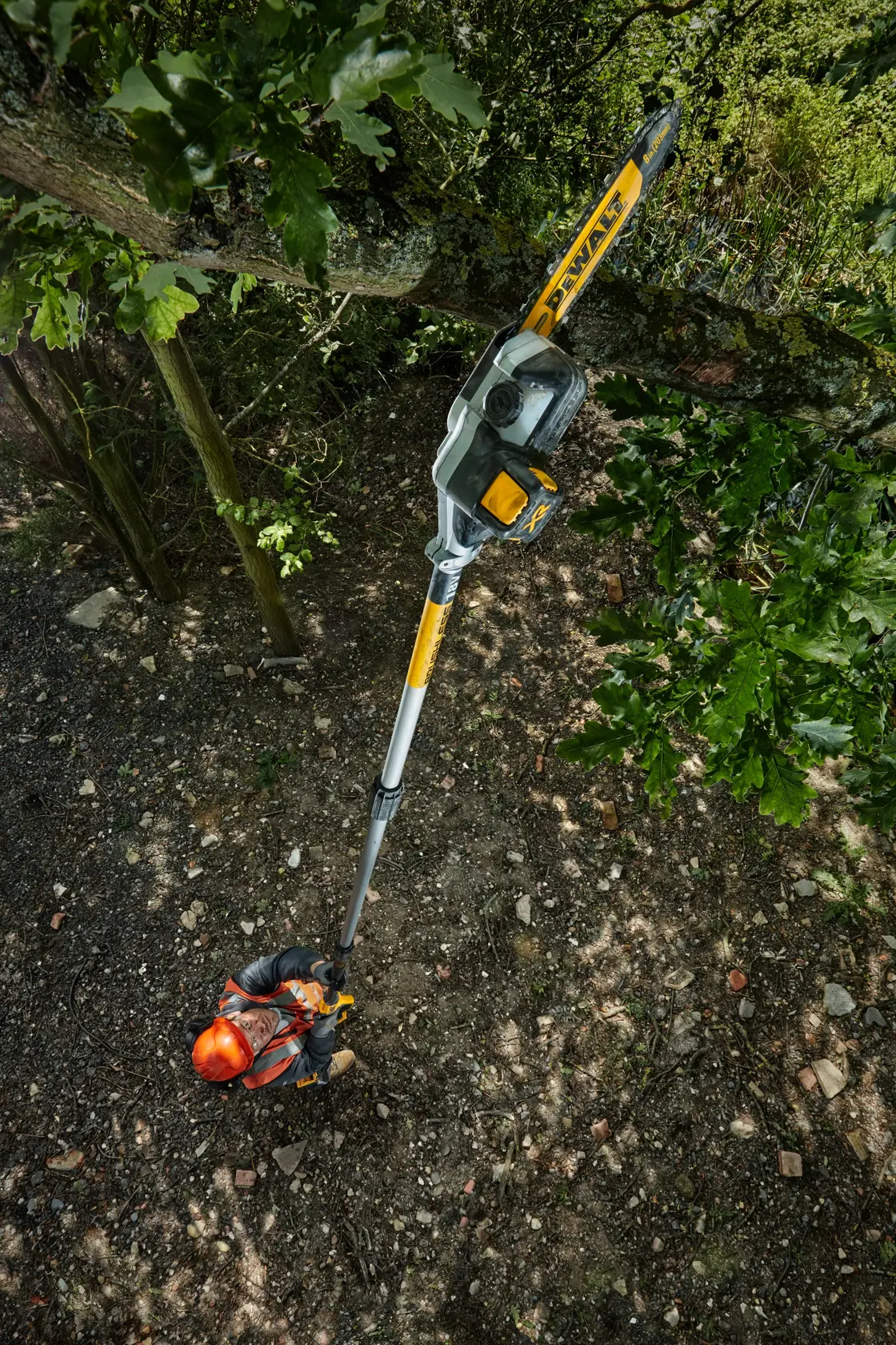 18 Volt Akku-Hochentaster 20 cm Schwert (bürstenlos) - Basisversion
