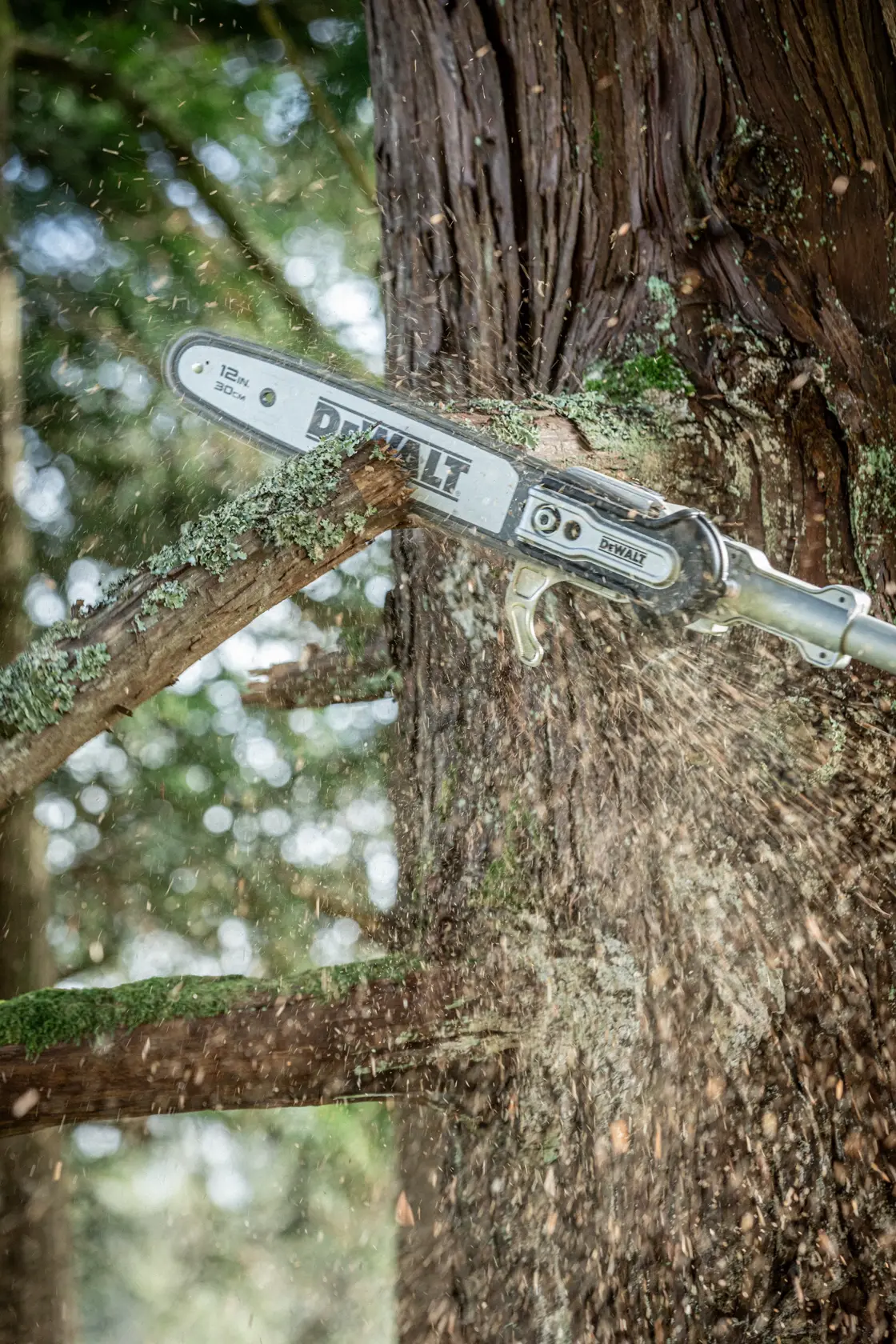DEWALT Hochentaster sägt Ast im Freien, Holzspäne fliegen beim Betrieb.