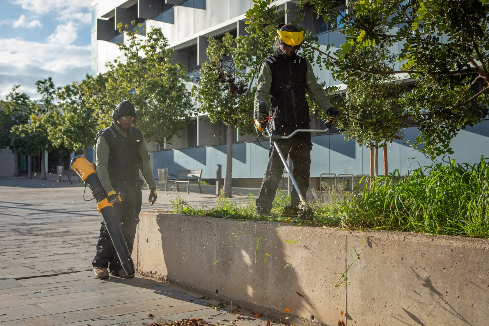 Zwei Personen nutzen DEWALT Geräte für Außenpflege, schneiden Gras und blasen Blätter an einem modernen Gebäude.