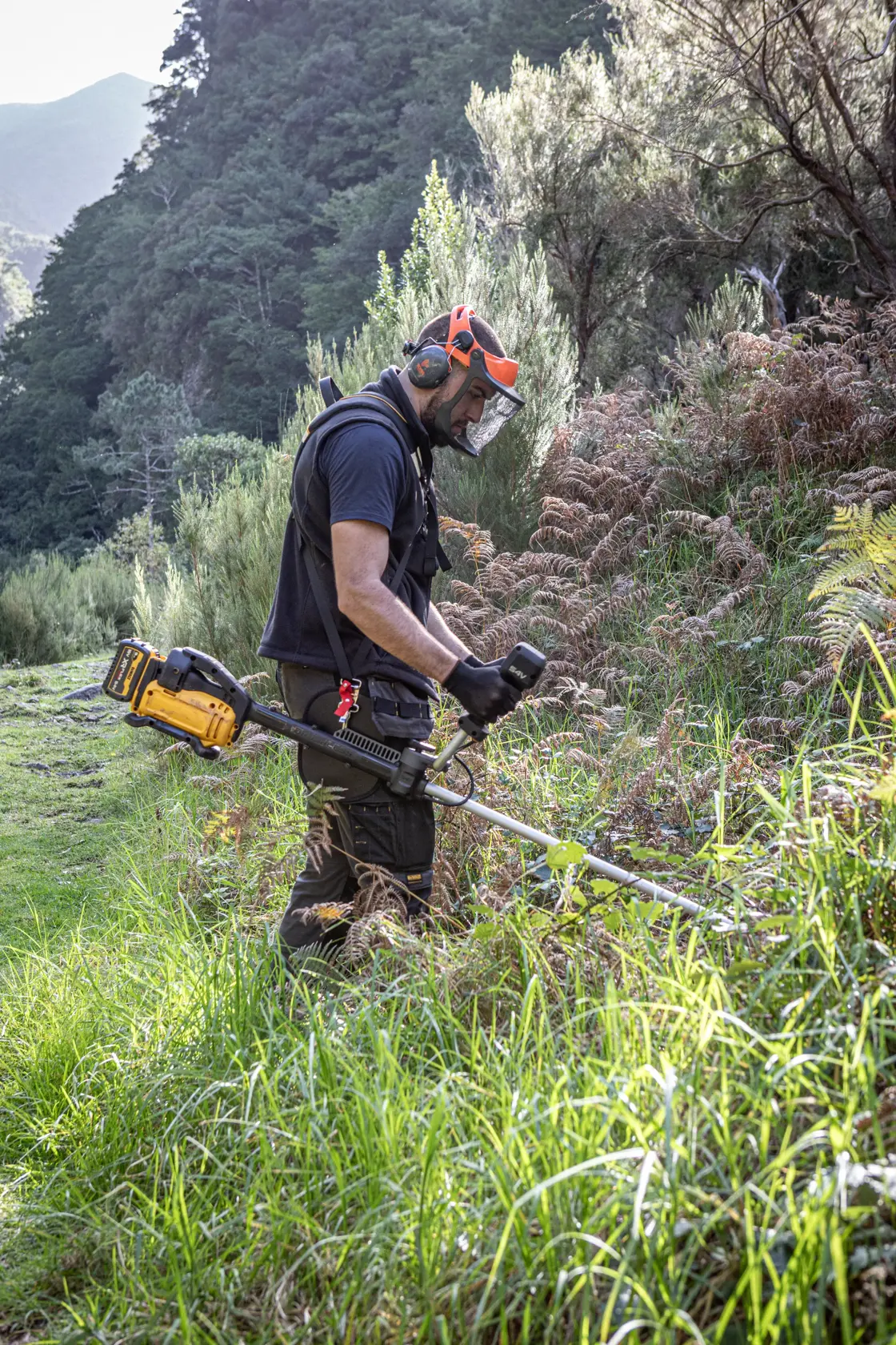 54V XR Flexvolt Rasentrimmer, 42cm Schnittbreite (Basisversion) - Forst- & Landschaftsbau